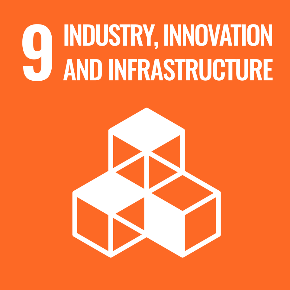 SDG 9 logo