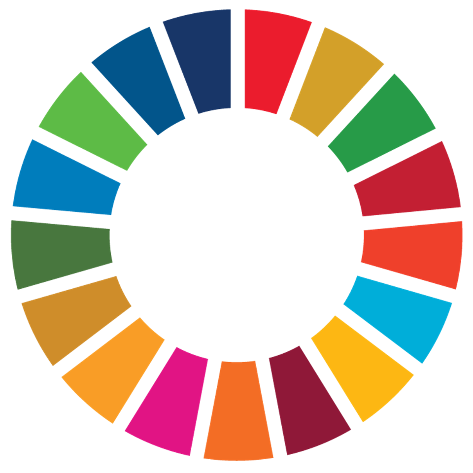 SDG Wheel Transparent WEB