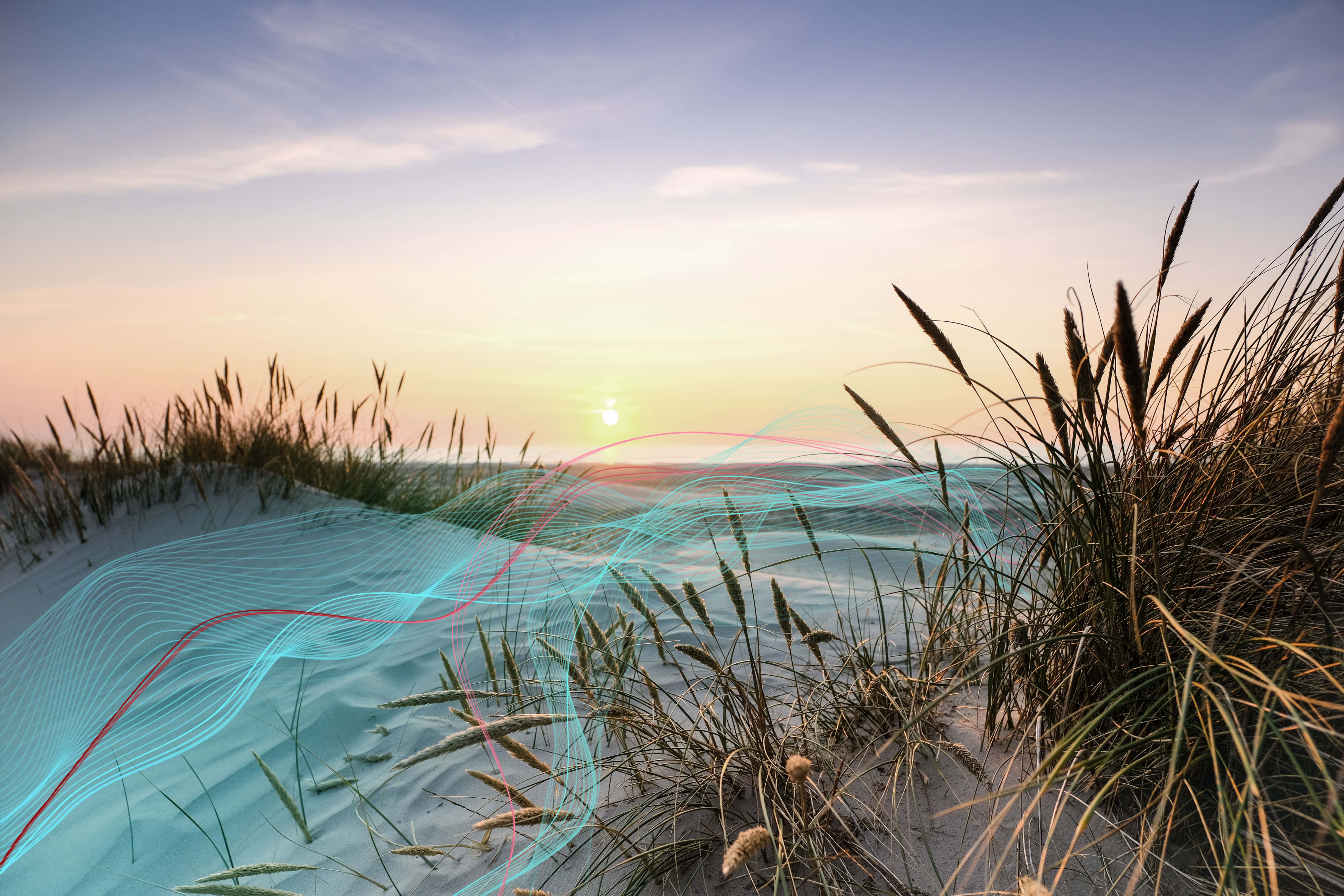 A sunrise on a beach, with a data stream running across the sand representing AI.